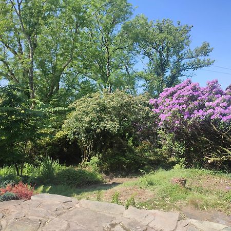 Villa Y Cwtch - Panoramic Mountain Views Within Snowdonia'S National Park - 4X4 Recommended Dolgellau Exterior foto